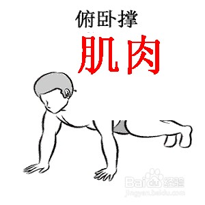 如何练<a href=http://www.muscles.com.cn/xiongbu/ target=_blank class=infotextkey>胸肌</a>？